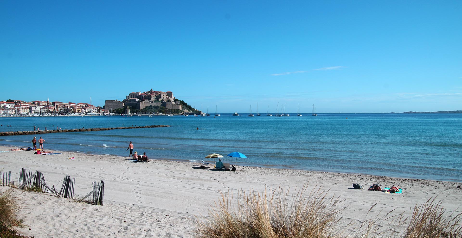 plage-calvi-corse