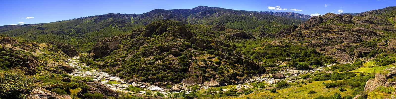corsica-224716_1920-(1)