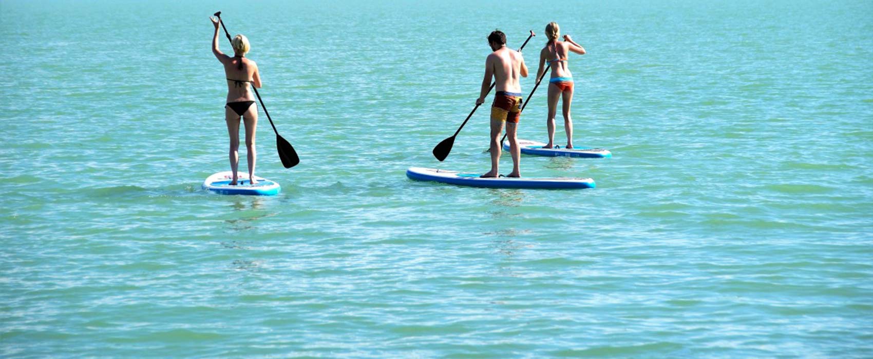 paddle-calvi