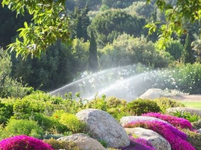 parc-de-saleccia