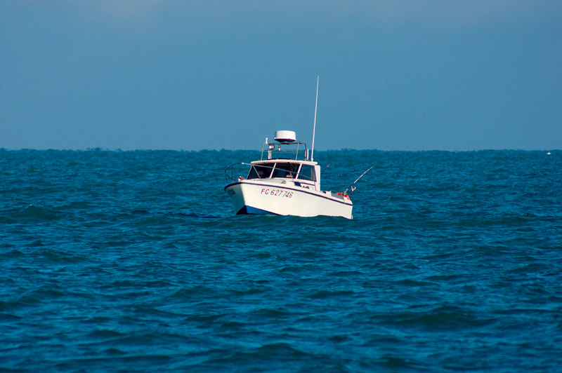peche-en-mer-calvi