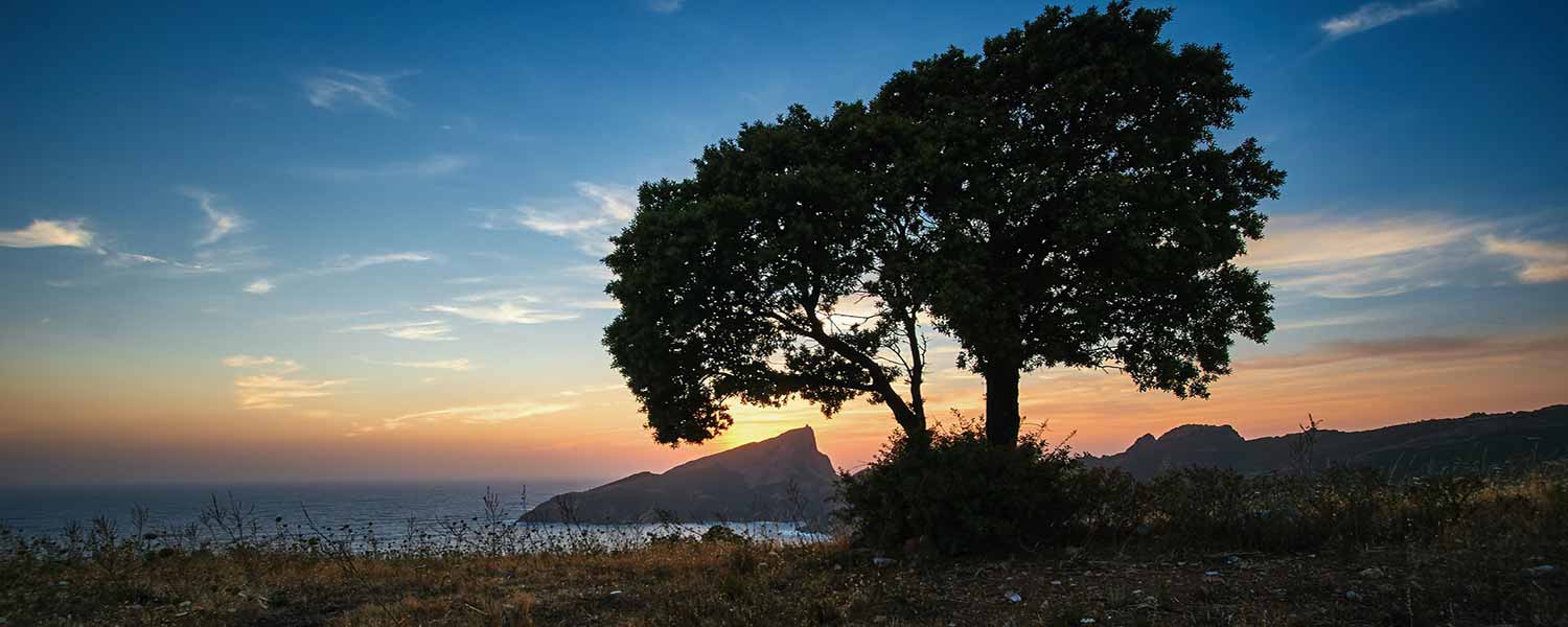 sunset-corse