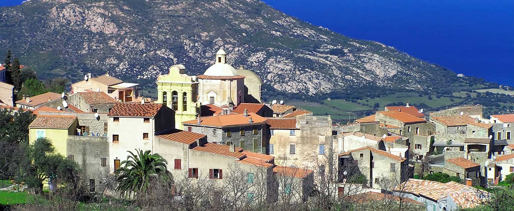 cateri-corse