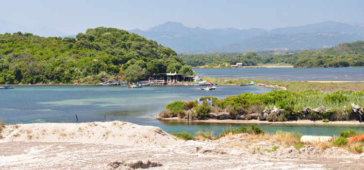 etang-de-diana-corse