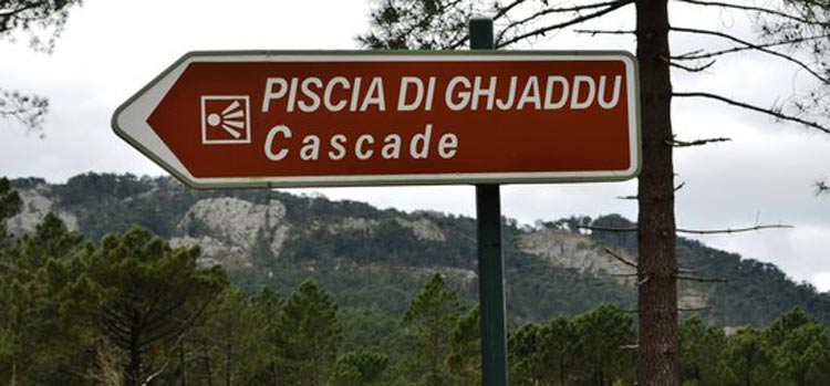 Randonnée vers la cascade Piscia di Gallu