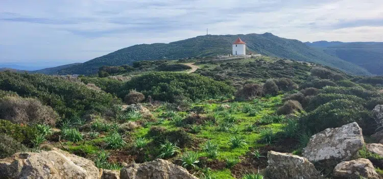 routes panoramiques de Haute-Corse