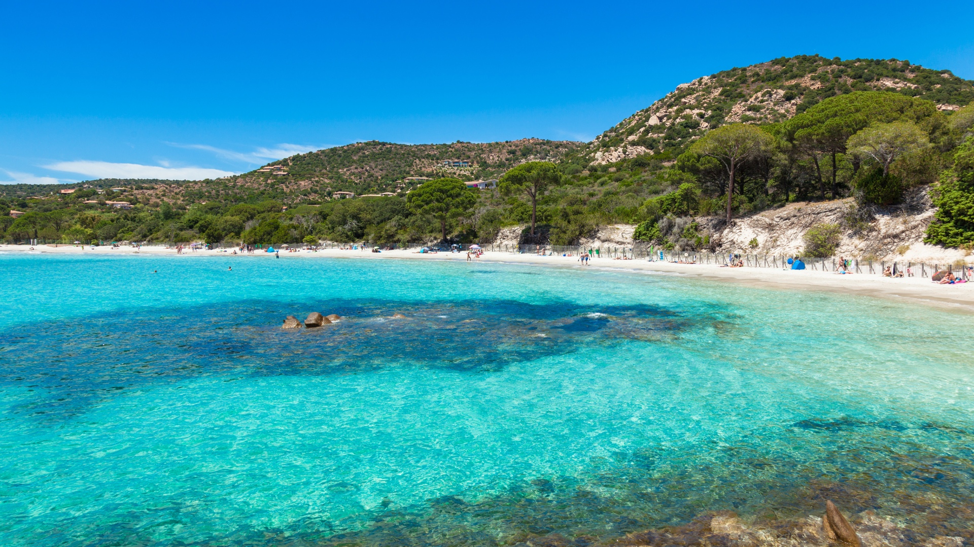 Palombaggia plage