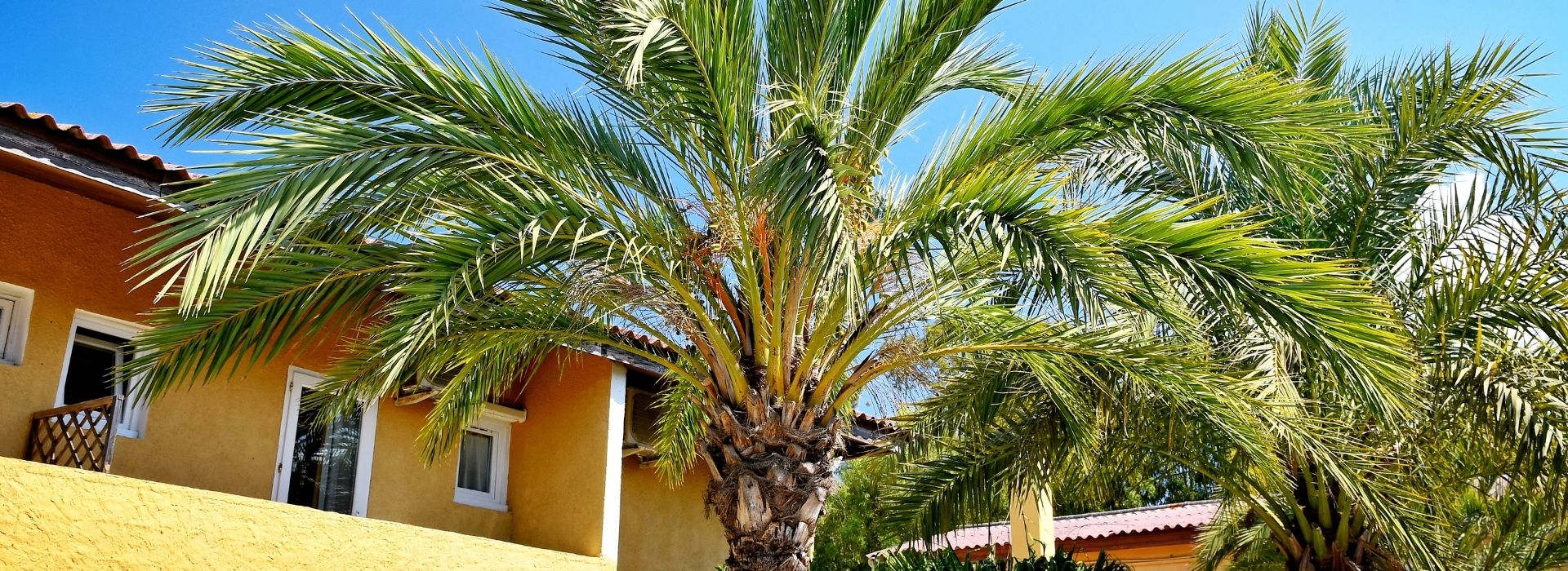 camping avec borne de recharge corse calvi