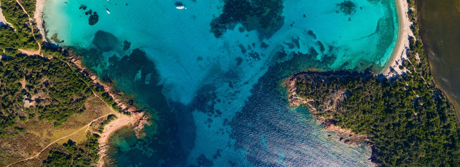 camping corse visites incontournable