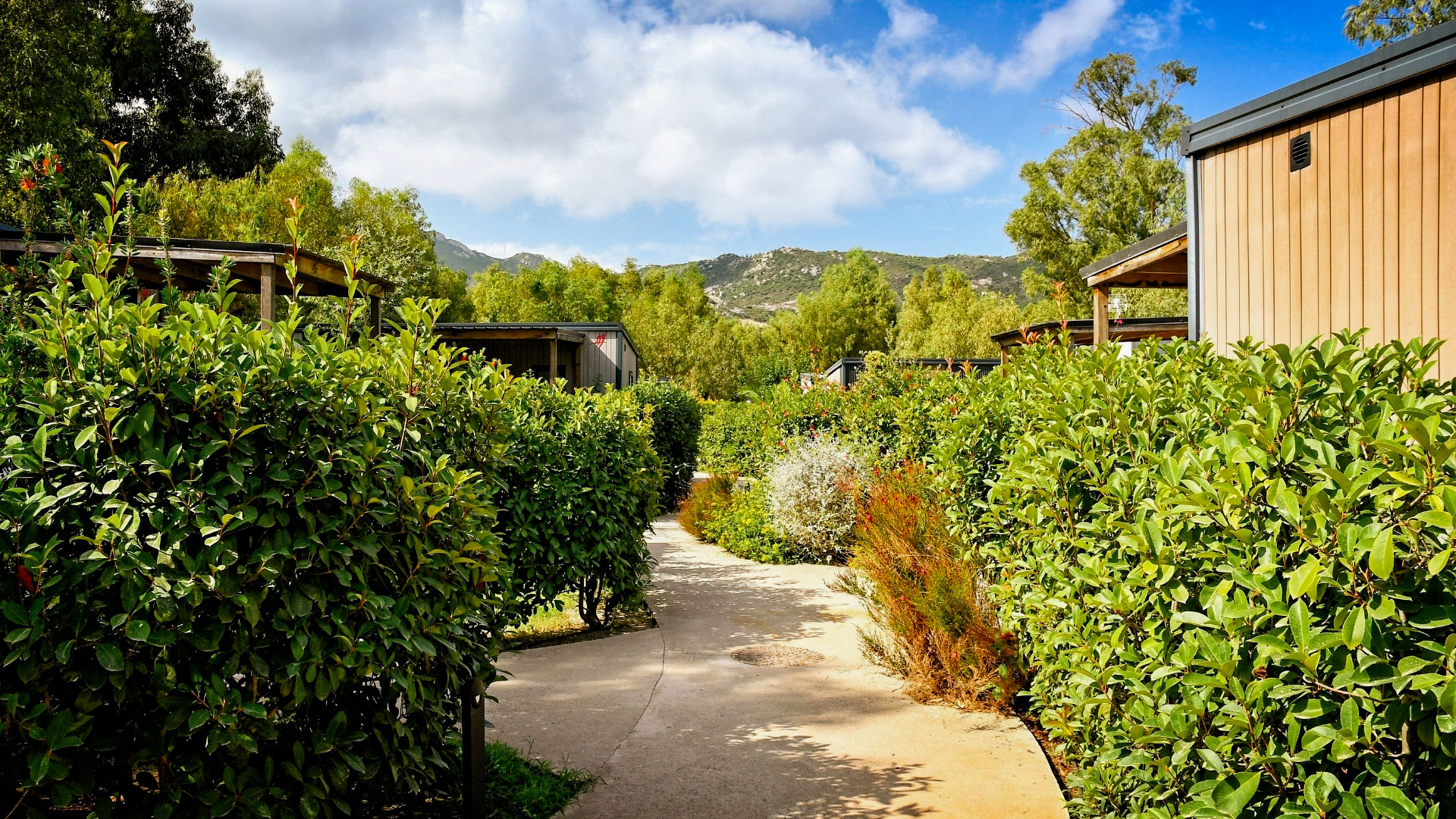 corse - 75