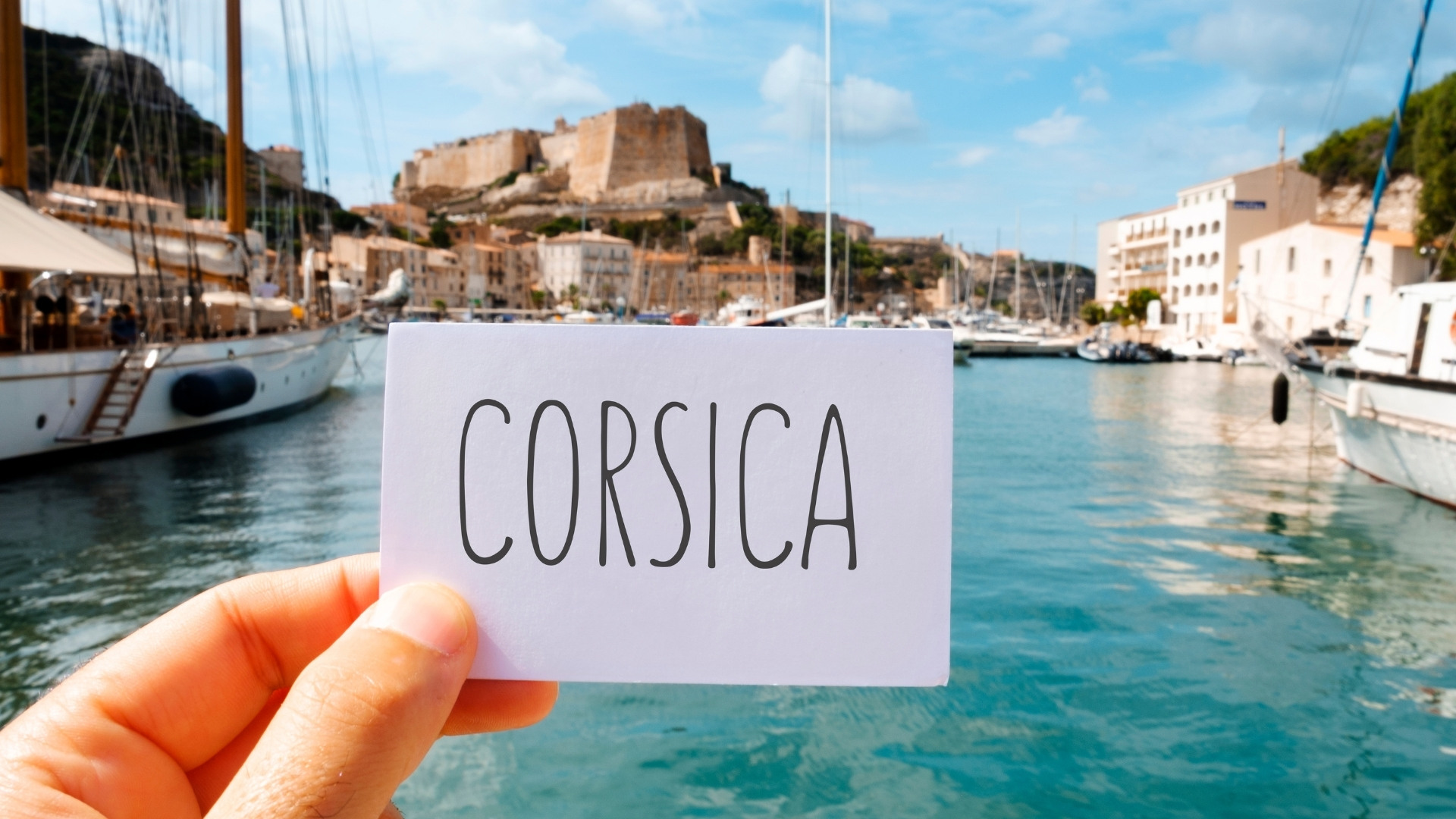 corse calvi activité
