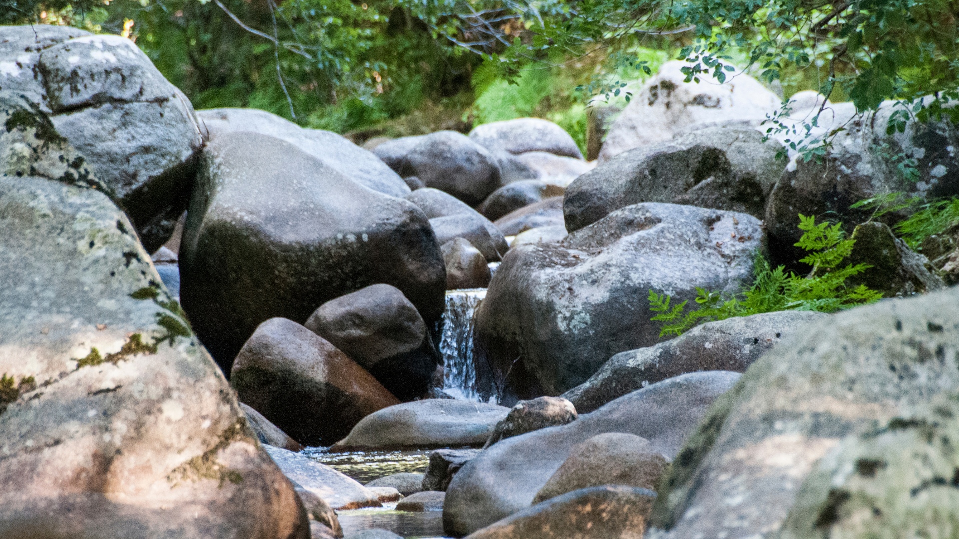corse cascade proche camping