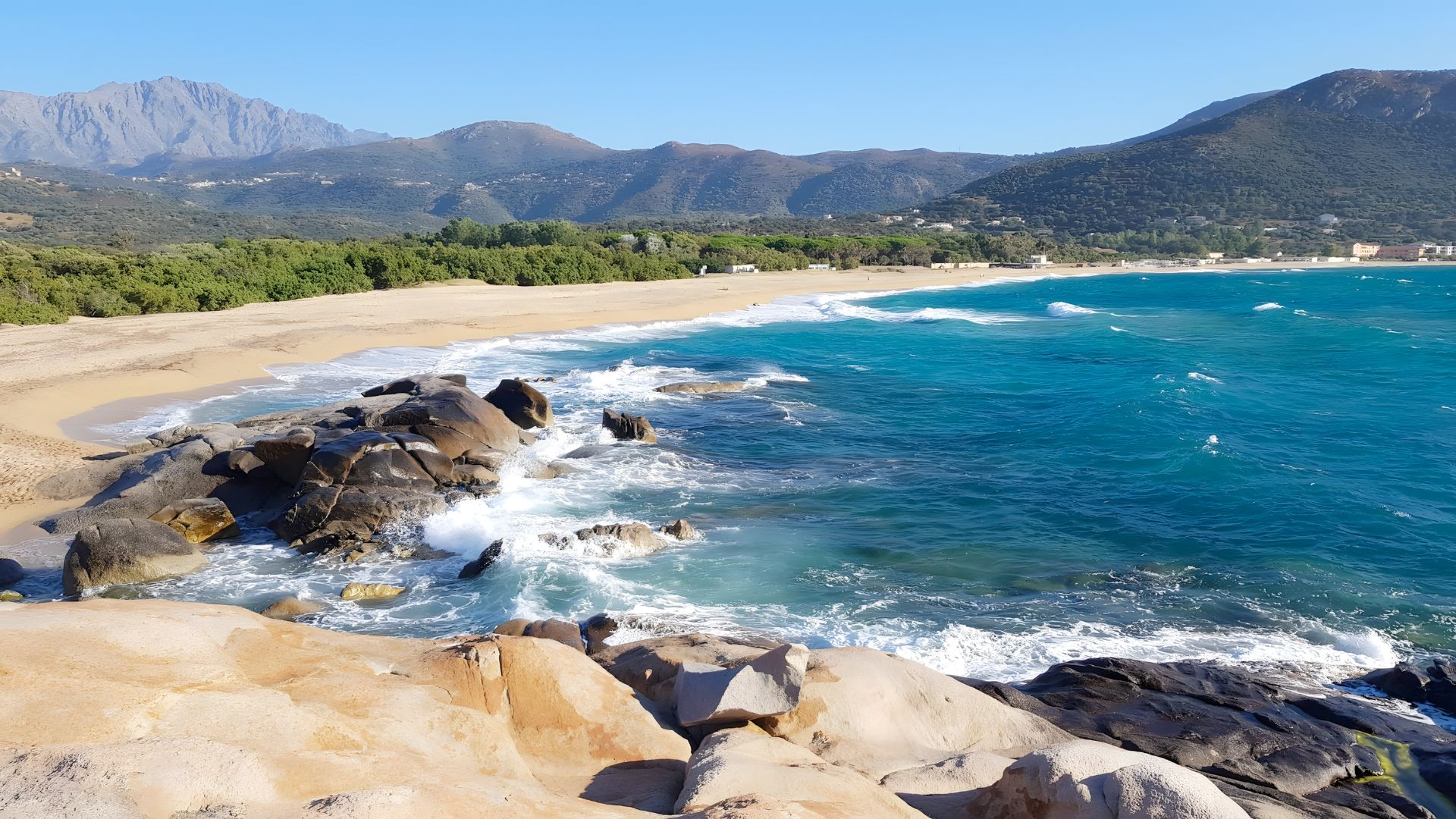les castors bord de mer corse