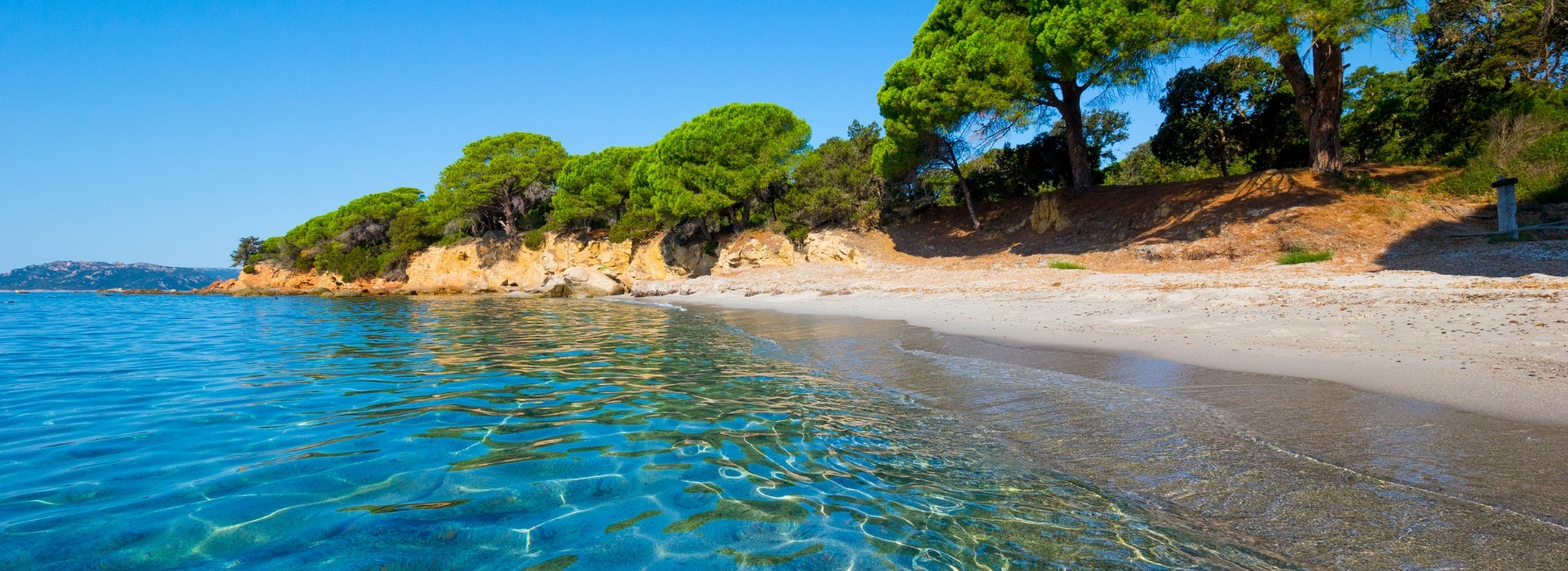 mentions legales camping corse