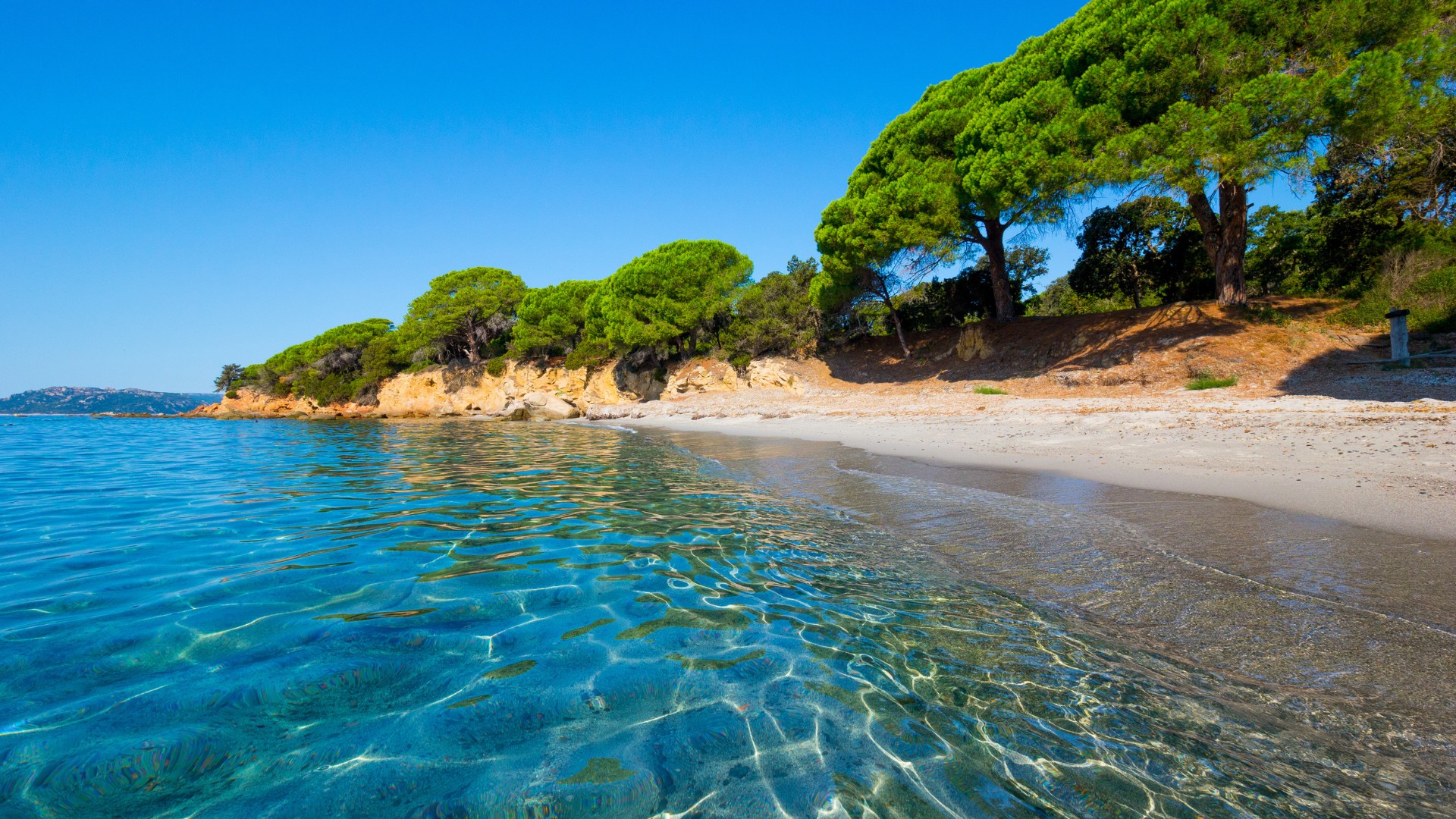 plage corse palombiaggia