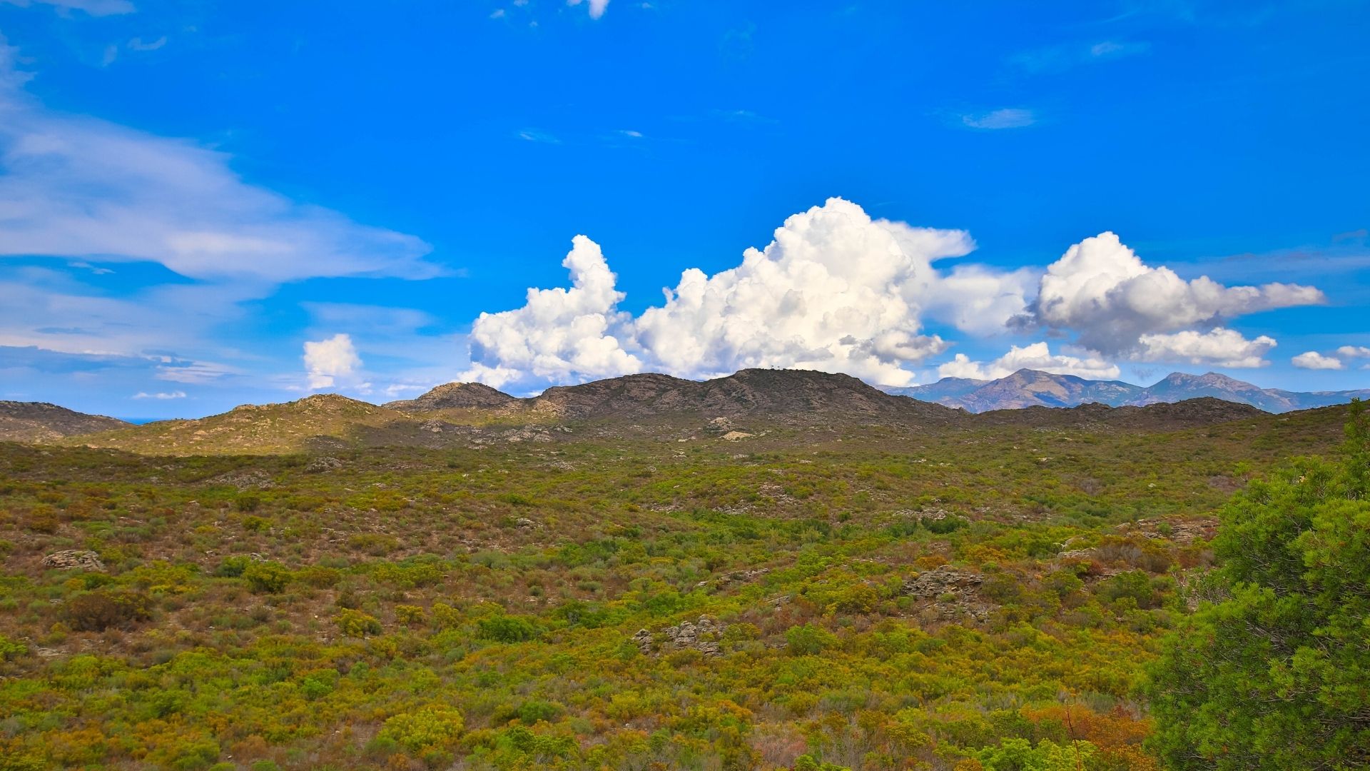 randonnées corse desert