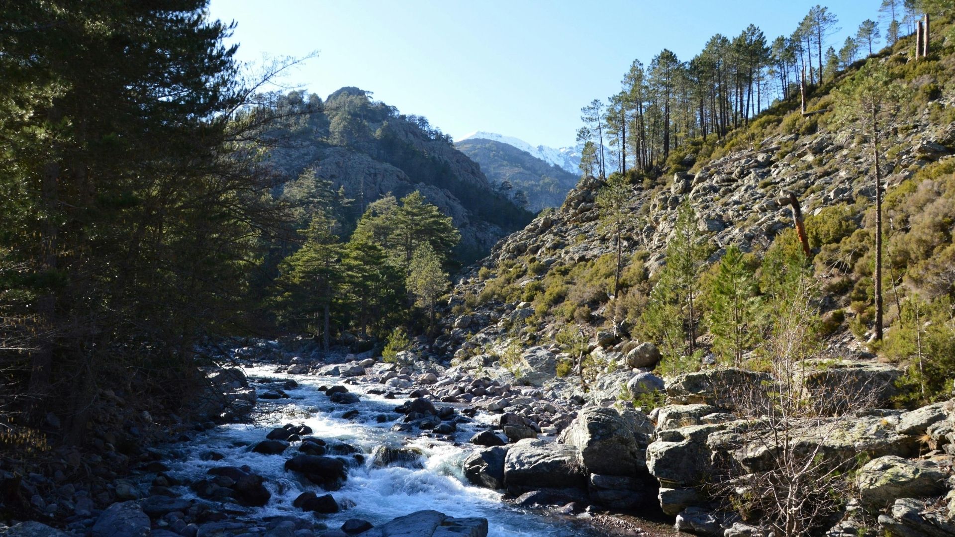 randonnées corse gorges